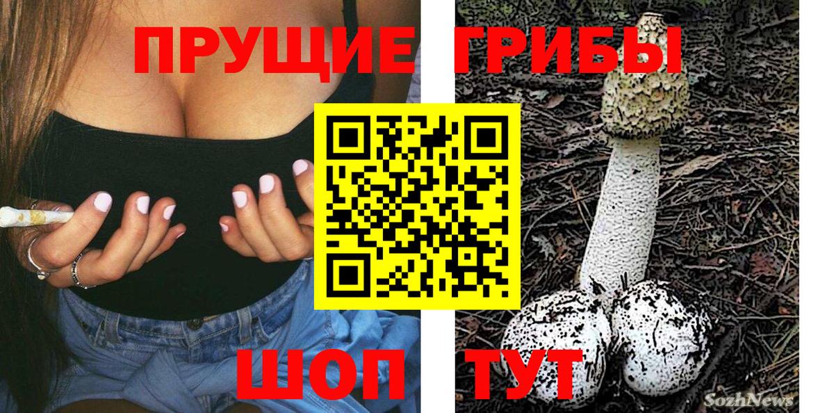 Псилоцибиновые грибы Psilocybe  Галлюциногенные грибы мицелий  Качканар  Вход с VPN 
