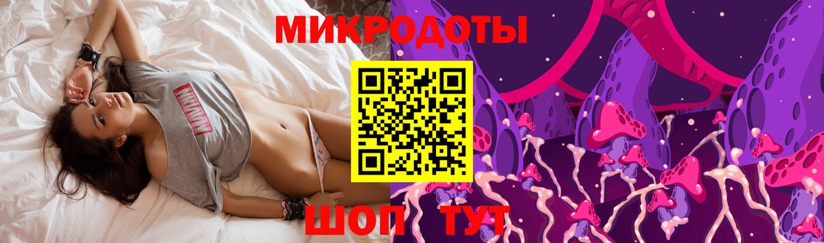 Псилоцибиновые грибы Psilocybine cubensis Качканар